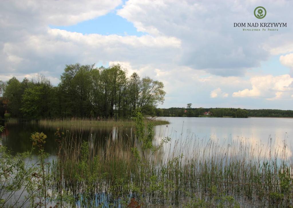 Dom Nad Krzywym - Prywatna Plaza, 2 Boiska, Sauna, Plac Zabaw Vila Krzywe  Exterior foto